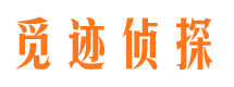 阳东外遇出轨调查取证